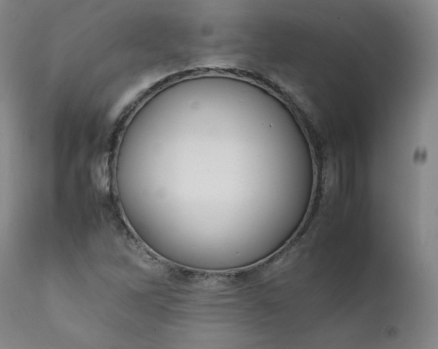 X0000112211262200908211510