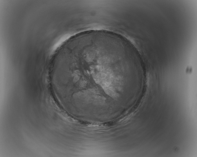 X0000112211263200908211510