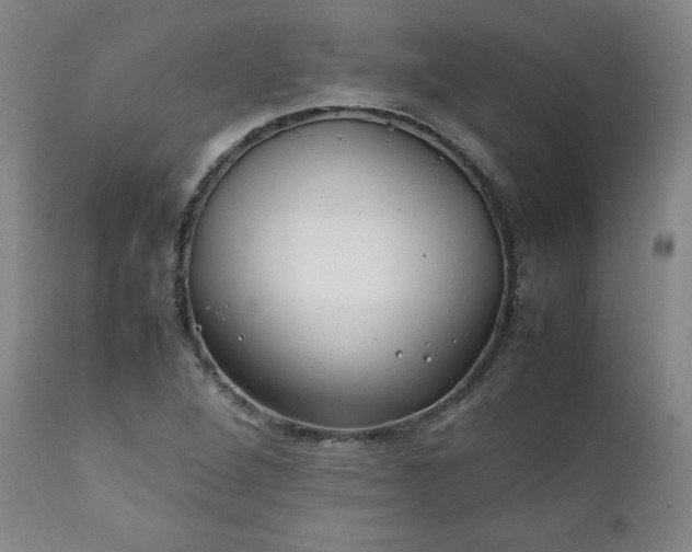 X0000112211264200908211510