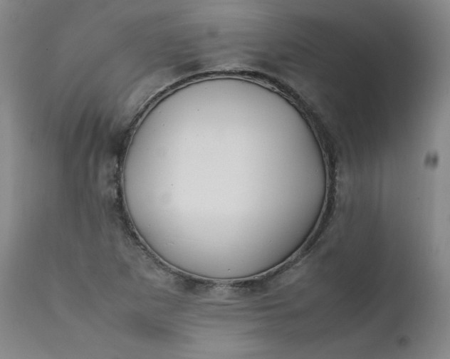 X0000112211265200908211510