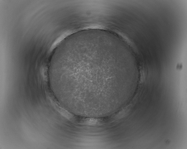 X0000112211266200908211510