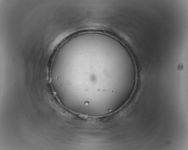 X0000112211267200908211510