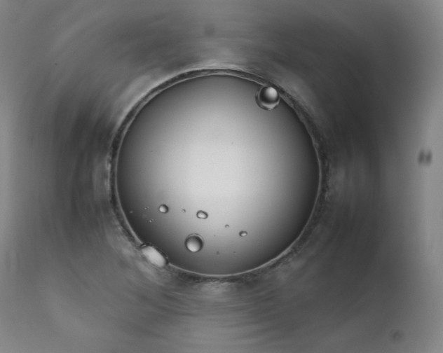 X0000112211268200908211510