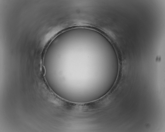 X0000112211269200908211510