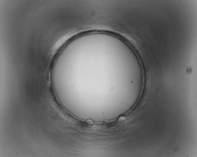 X0000112211271200908211510