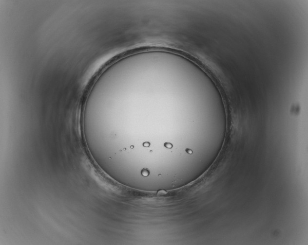 X0000112211272200908211510