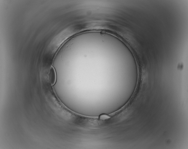 X0000112211273200908211510