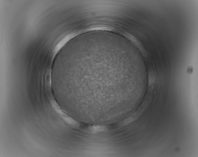 X0000112211274200908211510