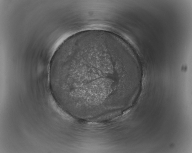 X0000112211275200908211510