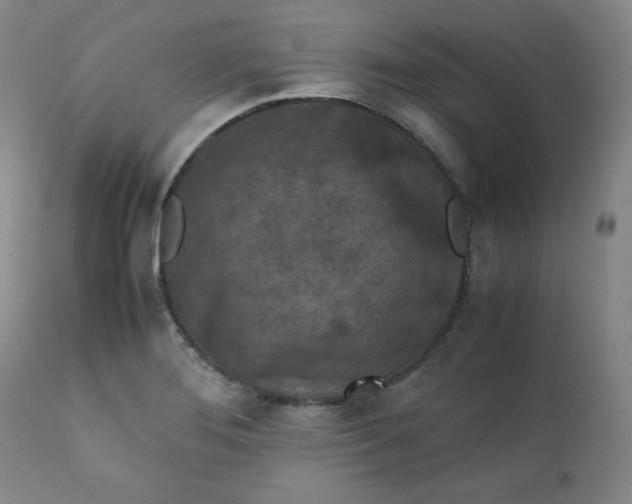 X0000112211276200908211510