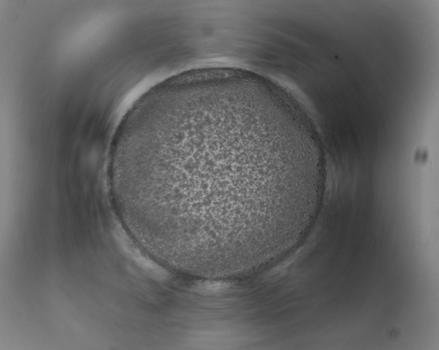 X0000112211278200908211510