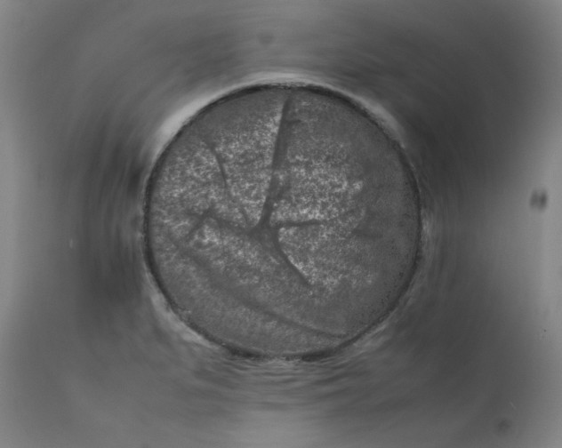 X0000112211279200908211510