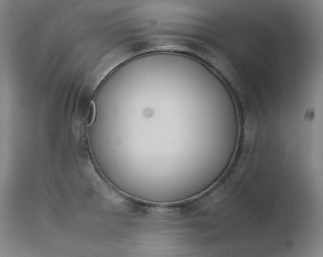 X0000112211281200908211510