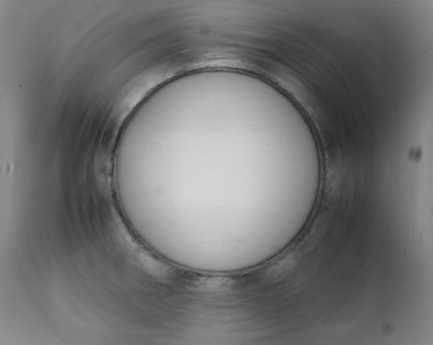 X0000112211282200908211510