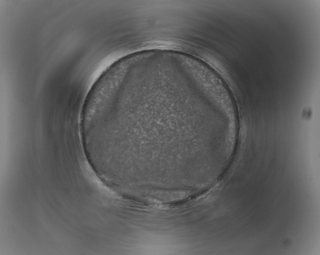 X0000112211283200908211510