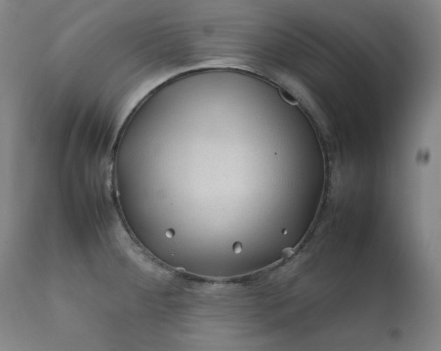 X0000112211284200908211510