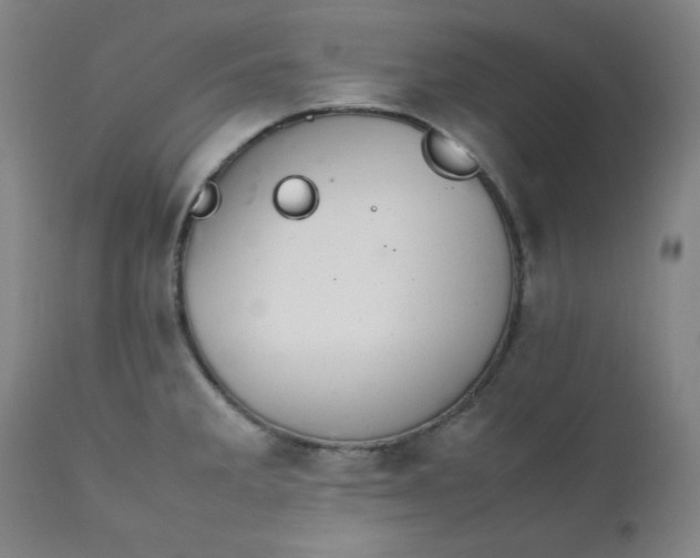 X0000112211285200908211510