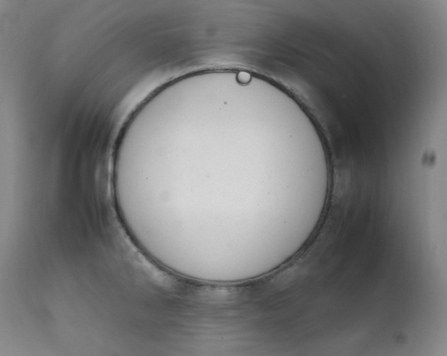 X0000112211286200908211509