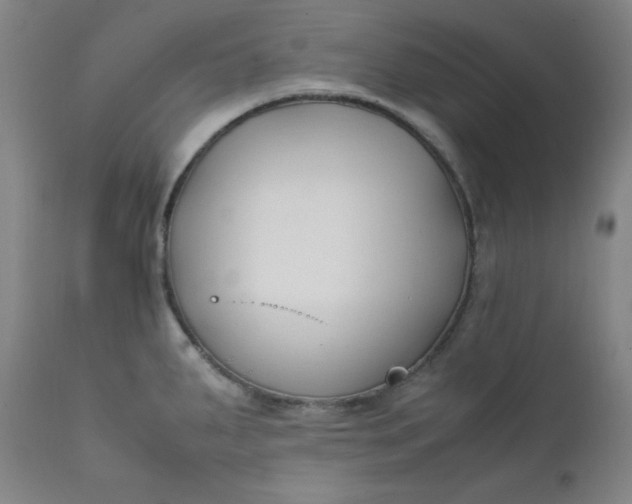 X0000112211287200908211509