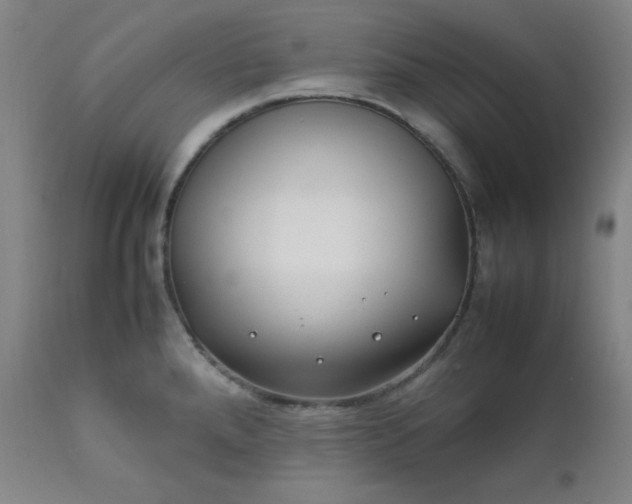 X0000112211288200908211509