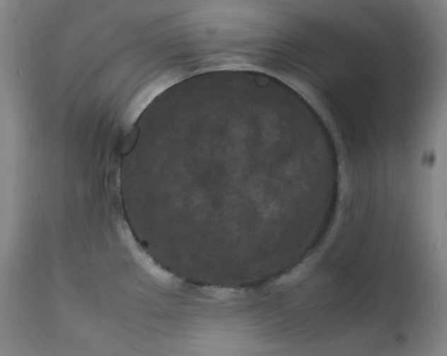 X0000112211289200908211509