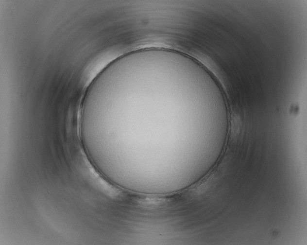 X0000112211290200908211509