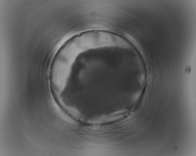 X0000112211291200908211509