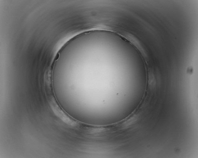 X0000112211292200908211509