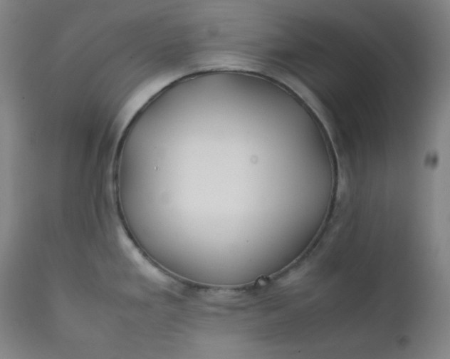 X0000112211293200908211509