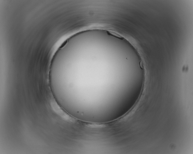 X0000112211296200908211509