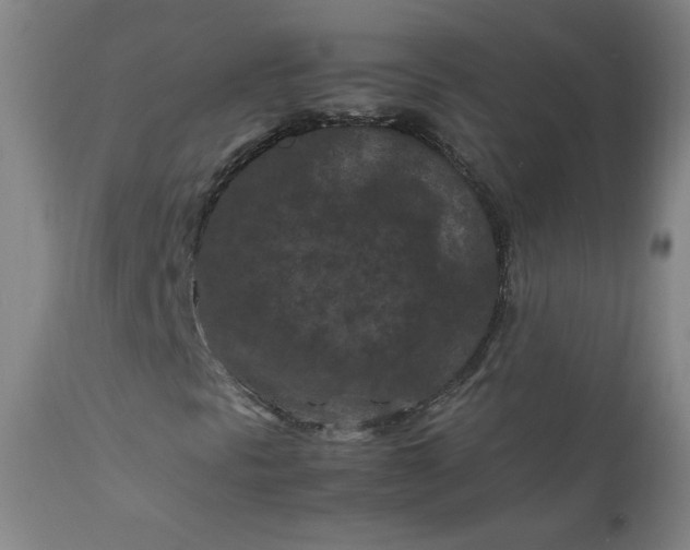 X0000112211297200908211509