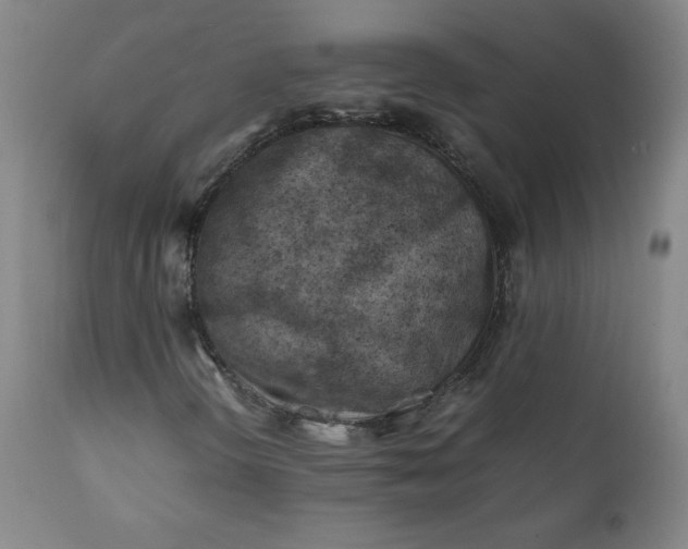 X0000112211298200908211509