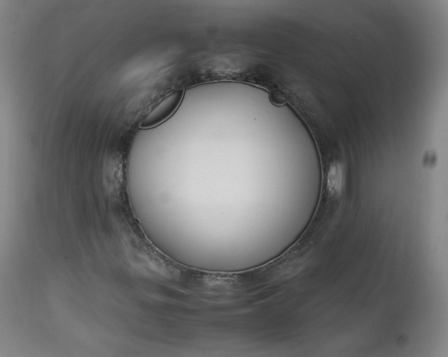 X0000112211299200908211509