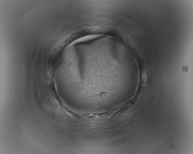 X0000112211300200908211509