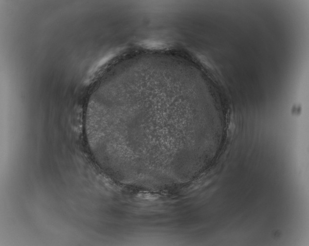 X0000112211301200908211509