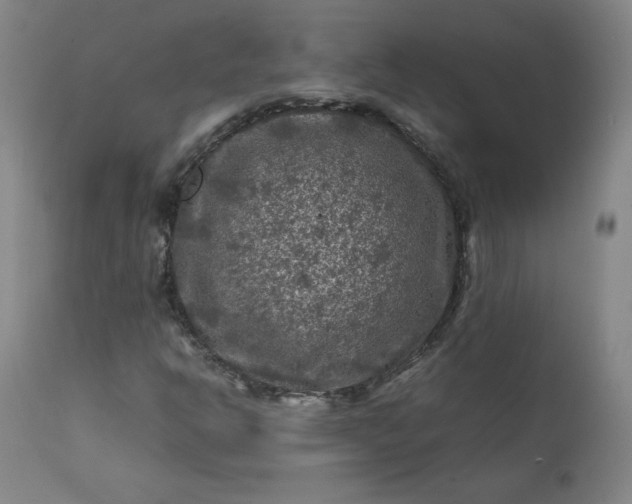 X0000112211302200908211509