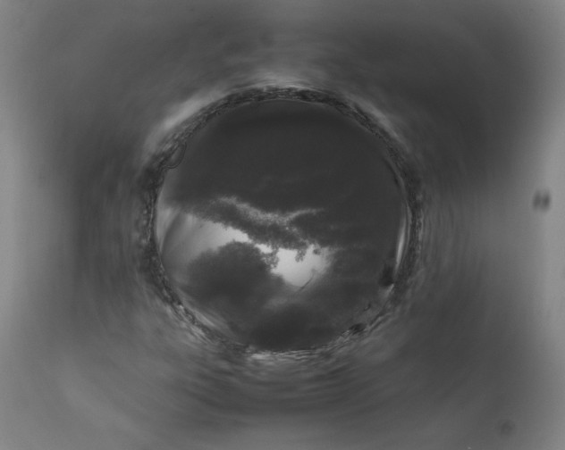 X0000112211303200908211509