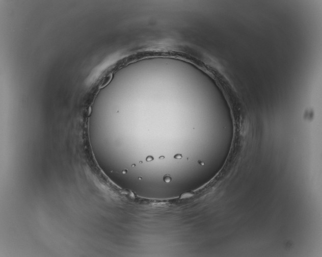 X0000112211304200908211509