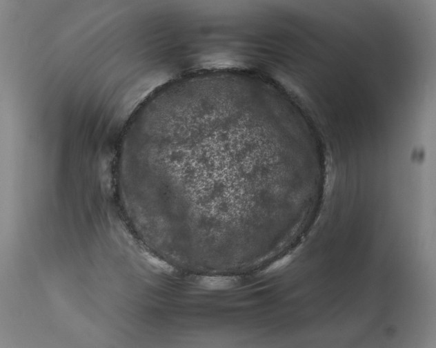 X0000112211305200908211509