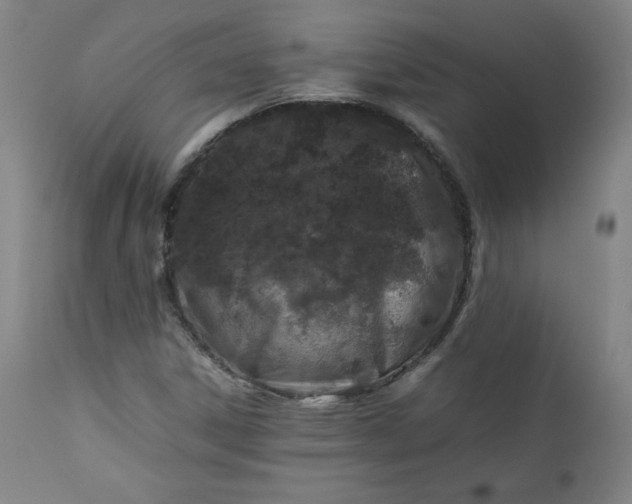 X0000112211306200908211509