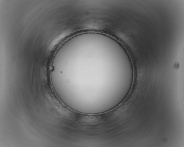 X0000112211307200908211509