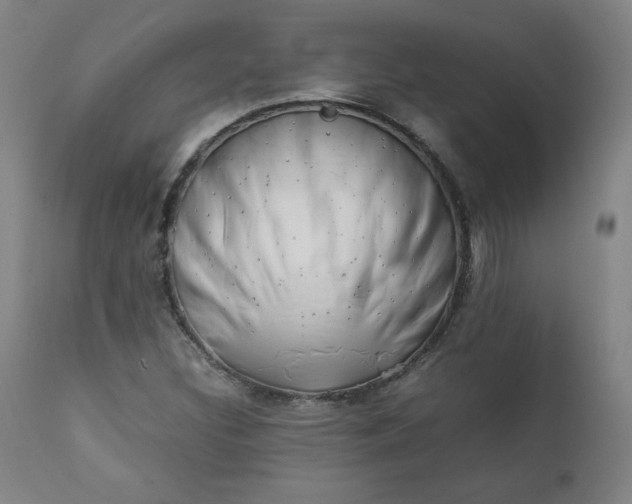 X0000112211308200908211509