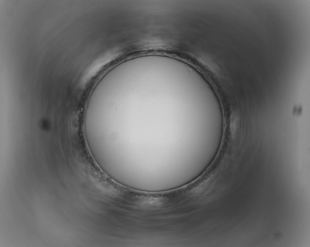 X0000112211309200908211509