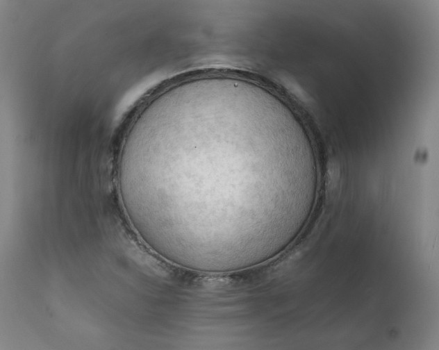 X0000112211310200908211509