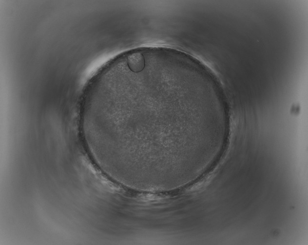 X0000112211311200908211509