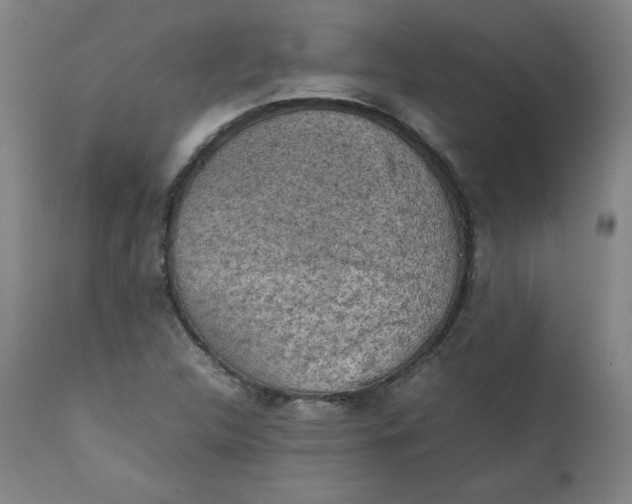 X0000112211312200908211509