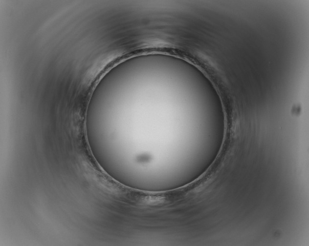 X0000112211313200908211509