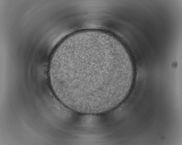 X0000112211314200908211509