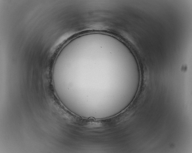 X0000112211315200908211509