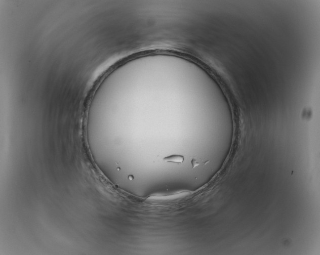 X0000112211316200908211509